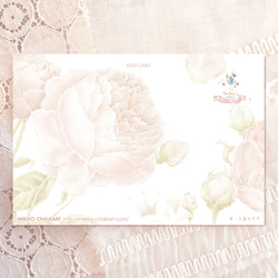 Rose Garden1　ポストカード 3枚セット 2枚目の画像