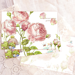 Rose Garden1　ポストカード 3枚セット 3枚目の画像
