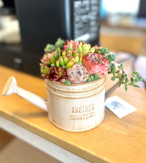 多肉植物寄せ植え そのまま飾れる オレンジのブリキポット