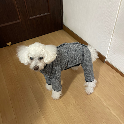 ハンドメイド犬服 ロンパースオーダー頁 術後服 2wayストレッチニット