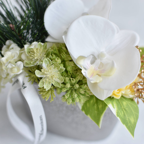 草文花入 (三上 亮) 未使用 新品同様 bizarre style Cymbidium韓国産超小型・不動芸・轟タイプ変り花【元光