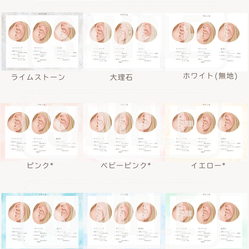 BP32:耳つぼ：臨床例60例集+チャート2+解説プリント（ジュエリー必須）プロ BP32:耳つぼ：臨床例60例集+チャート2+解説プリント（ジュエリー必須