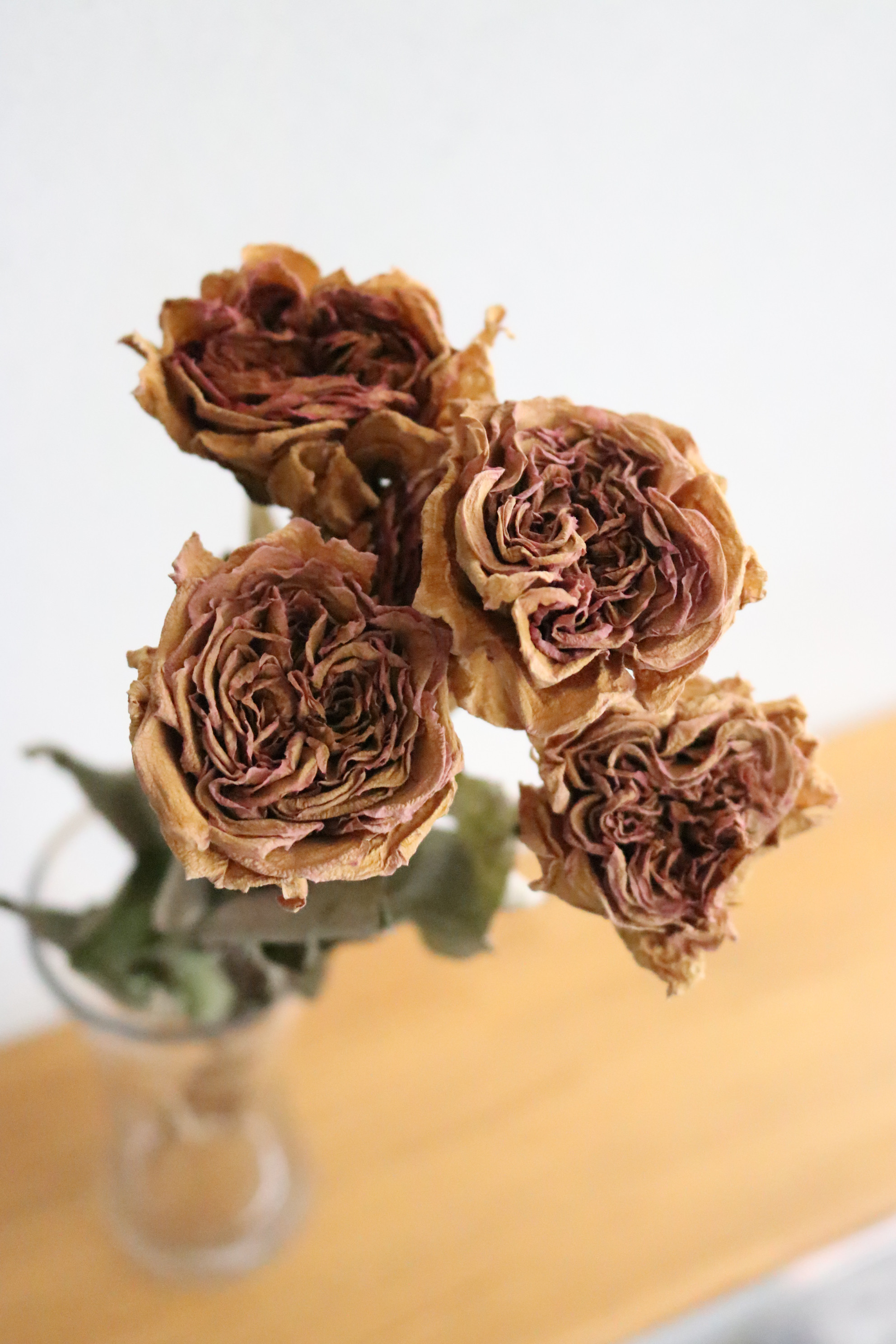 ドライフラワー❇️スタンダード バラ❣️ピンク系