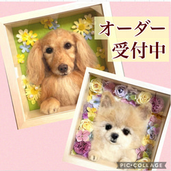 羊毛フェルト ハンドメイド ✰まこペコ✰ 羊毛フェルト ハンドメイド ✰まこペコ✰ まこペコ様専用 羊毛