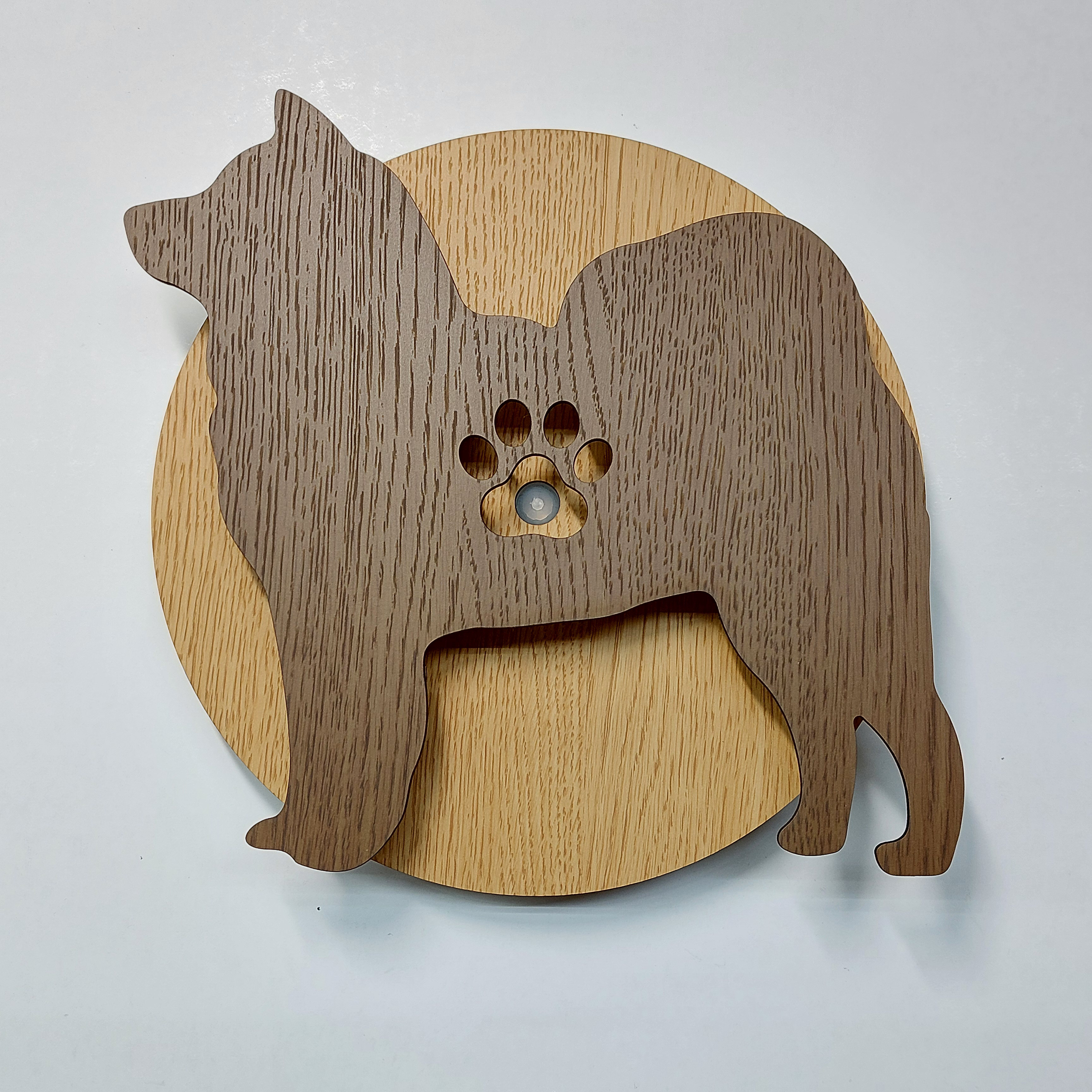 【人感センサー・ウォールライト】名入れ・文字入れ　はみ出しワンちゃん　柴犬　茶色