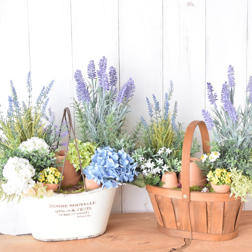 送料無料！】紫陽花いっぱい♪ハーブとラベンダーの寄せ植えガーデン