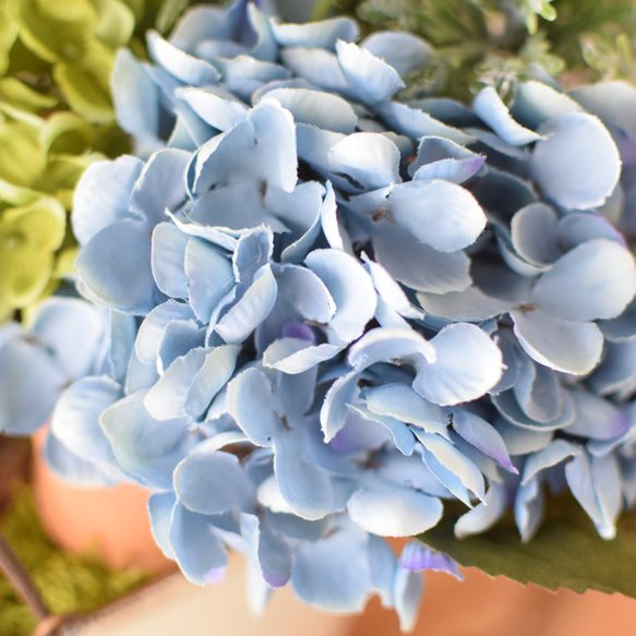 【送料無料！】紫陽花いっぱい♪ハーブとラベンダーの寄せ植えガーデン＊ 5枚目の画像