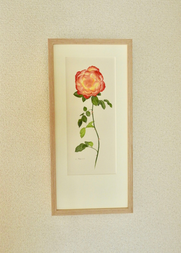 kagayaku ー薔薇ー】原画額装 絵画 atelier clip 通販 19162158