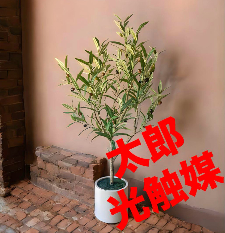 光触媒　人工観葉植物　ウォールグリーン　フェイクグリーン　オリーブポット1106