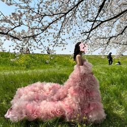 24f487a5b485c1e8e553f60c98dced