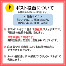  第10張的照片