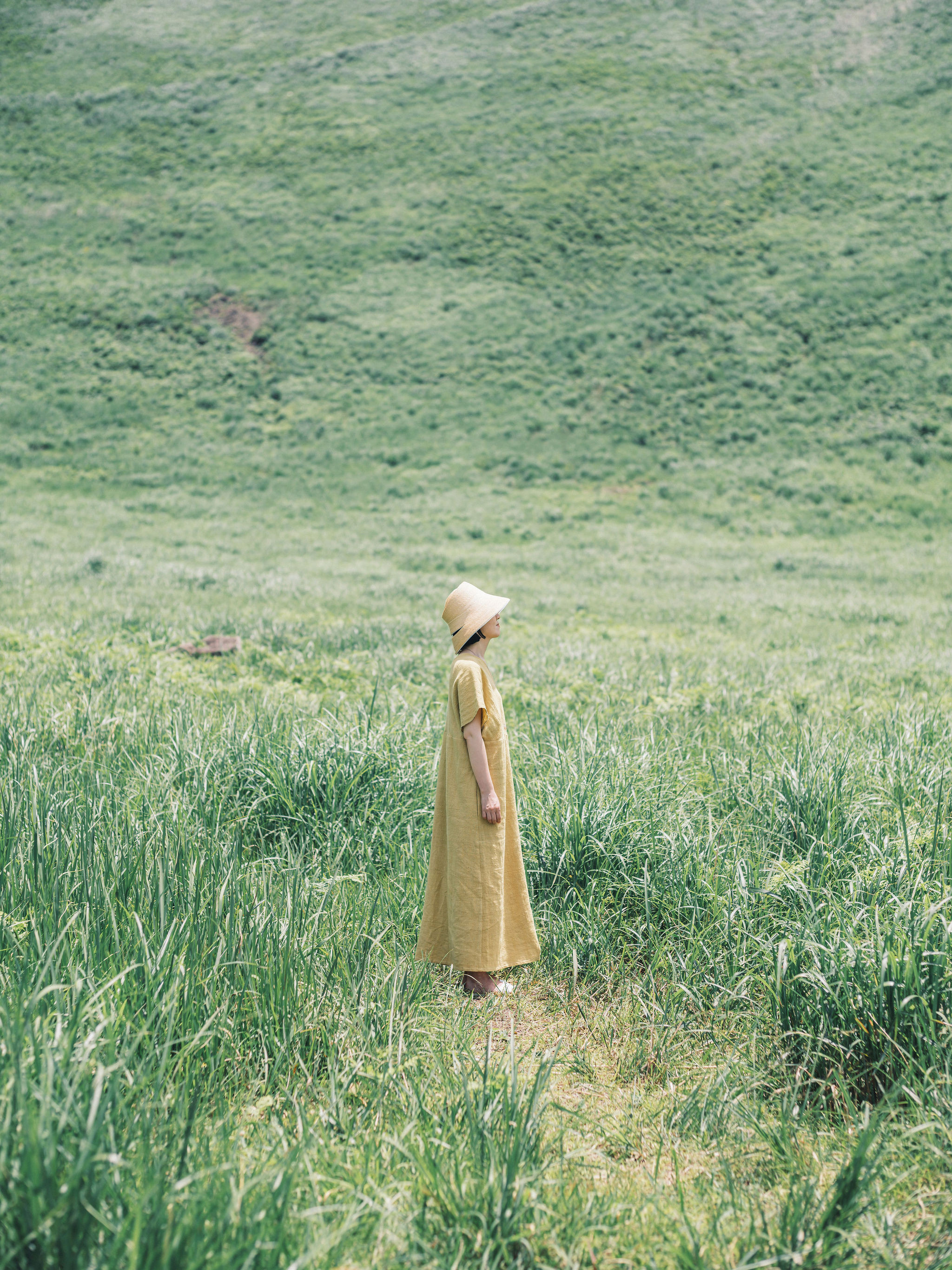 ミヅハノメドレス　ラオス手織り草木染　綿100％　半袖ワンピース　重ね着ワンピース