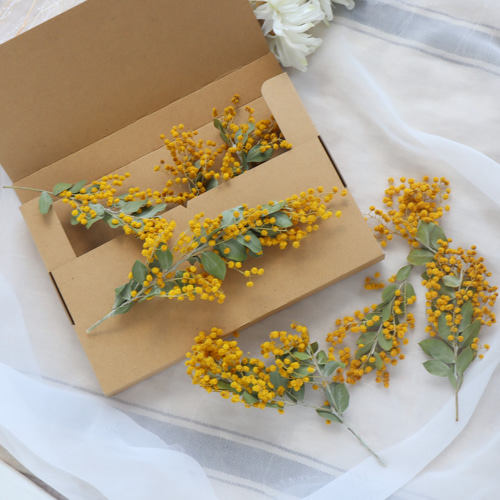 枝付きパールアカシアミモザ花材セット ドライフラワー fuu 通販