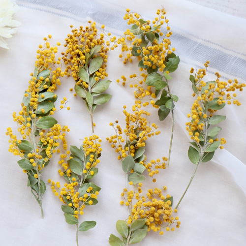 枝付きパールアカシアミモザ花材セット ドライフラワー fuu 通販