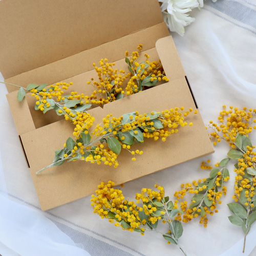 枝付きパールアカシアミモザ花材セット ドライフラワー fuu 通販