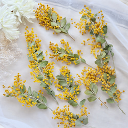 枝付きパールアカシアミモザ花材セット ドライフラワー fuu 通販