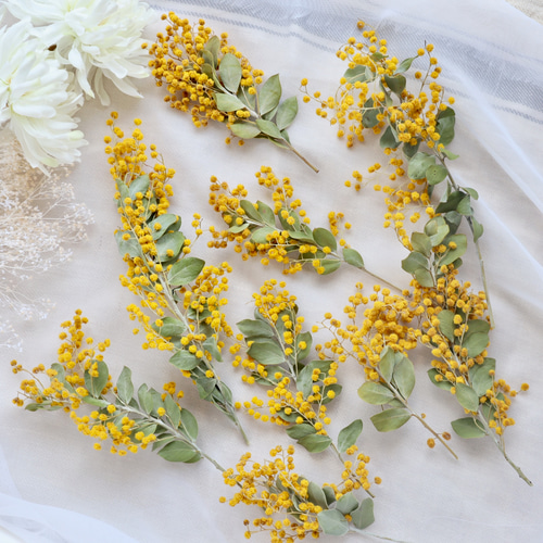 枝付きパールアカシアミモザ花材セット ドライフラワー fuu 通販