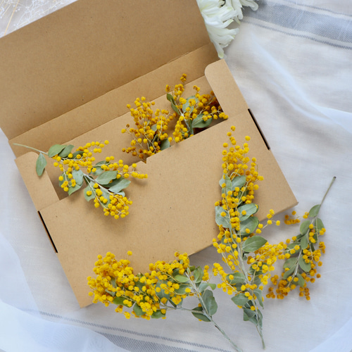 枝付きパールアカシアミモザ花材セット ドライフラワー fuu 通販
