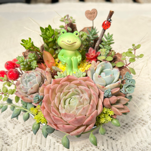 このまま飾れます】可愛い♡春を楽しむカエルさん♪多肉植物寄せ植え  