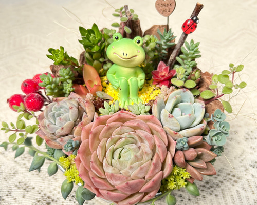 多肉寄せ植え✿カエル✿スタバ✿そのまま飾れます このまま飾れます】可愛い♡春を楽しむカエルさん♪多肉植物寄せ植え