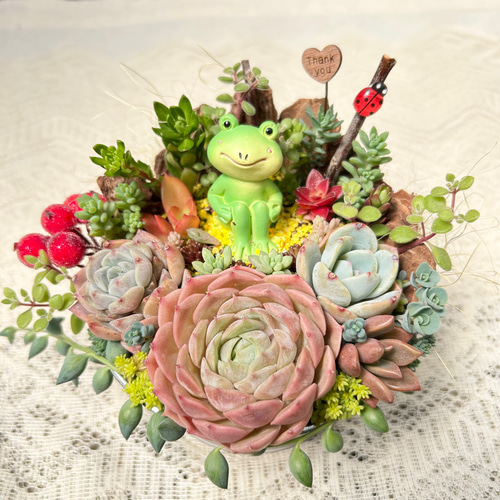 多肉寄せ植え✿カエル✿スタバ✿そのまま飾れます このまま飾れます】可愛い♡春を楽しむカエルさん♪多肉植物寄せ植え