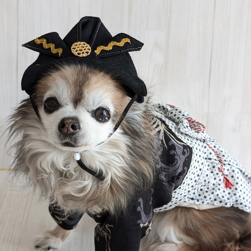 大きめ 子供の日 兜 五月人形 端午の節句 ハンドメイド 猫 犬