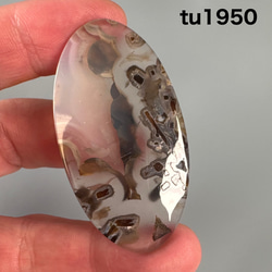 カンチェンジュンガ産 ヒマラヤ水晶 原石クラスター tg773 天然石