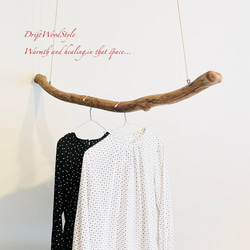 流木インテリア 無骨で太い大型流木のハンガーラック 北欧 衣装掛 ハンギング 吊り下げ ハンガーポール N37 1枚目の画像