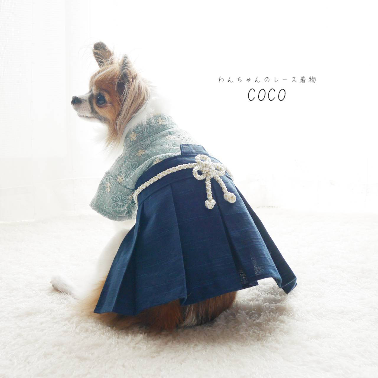 【犬服 袴】ゴールドきらめく可憐なお花 レース着物 袴 ＊ミントグリーン×ミントブルー＊