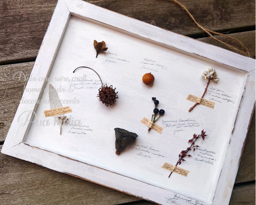 515692a4660c89c463b99ed34aaa0b