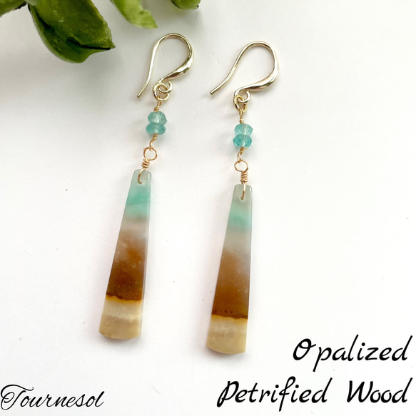 14kgf ペトリファイドウッドオパライズ ピアス