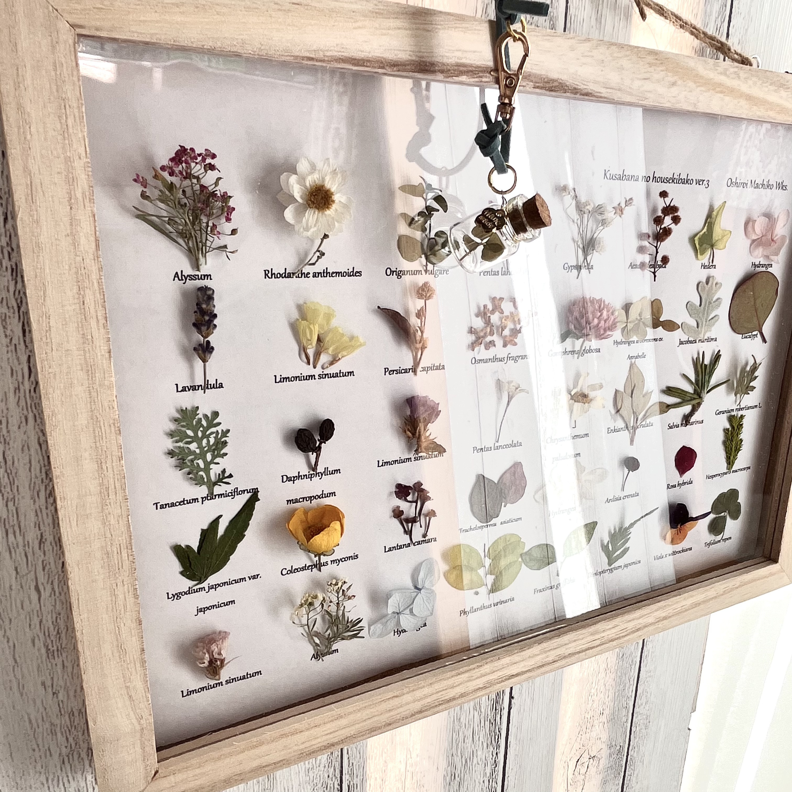 ２点セット植物標本と小瓶チャーム　スターターセット　福袋