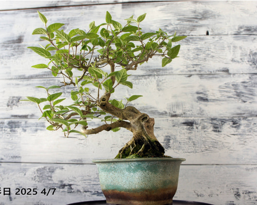 940b556362af5936fc5ef60638a1f9