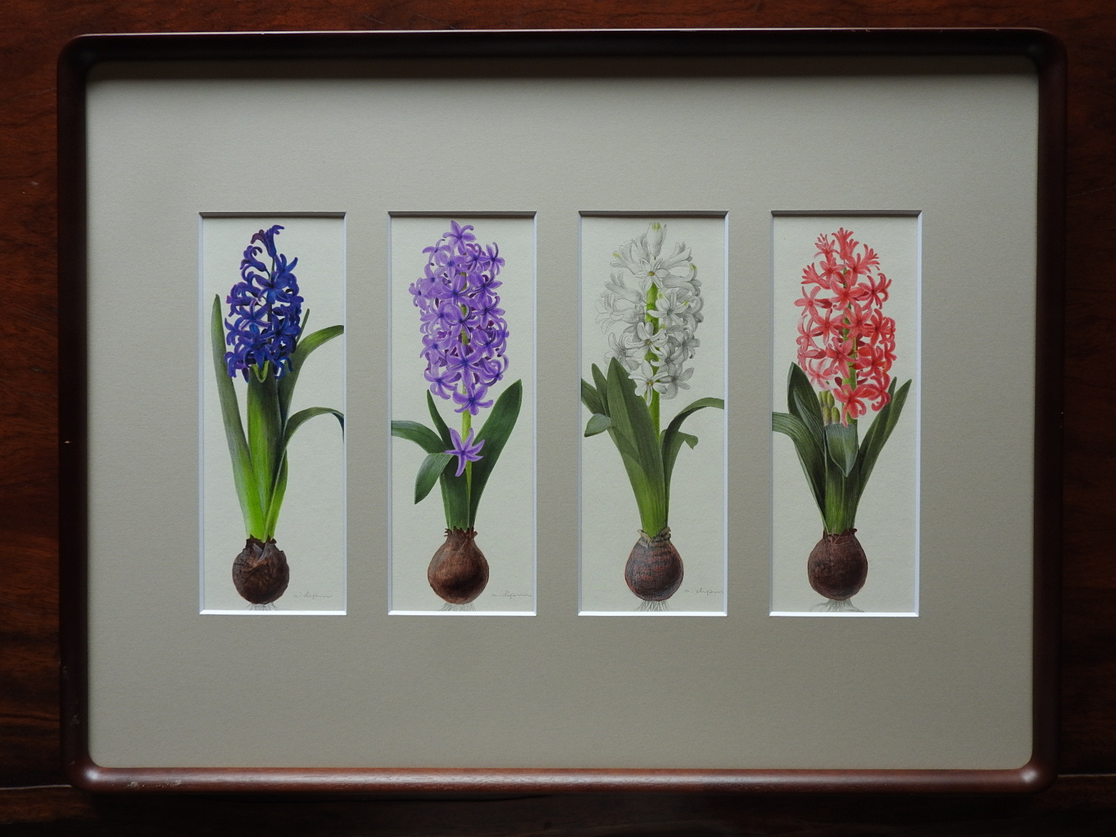 【narabu　ヒヤシンス】マット付シート