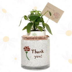 サンドアート 開業祝い 開店祝い 新築祝い 引越し祝い カラーサンド