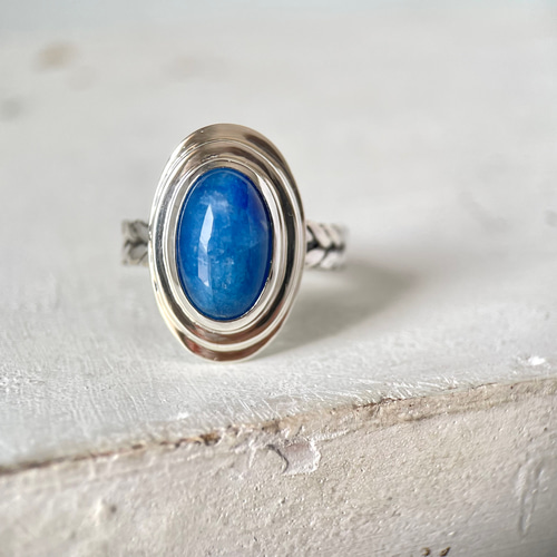 あっきぃ リングライト Amazon.co.jp: AMPTAK×COLORS あっきぃ リングライト ホビー