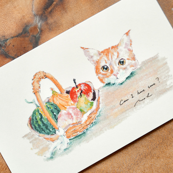 ミニカードセットーanimals ー　スマホ　インナーシート　メッセージカード　犬　猫　かわいい　動物 4枚目の画像