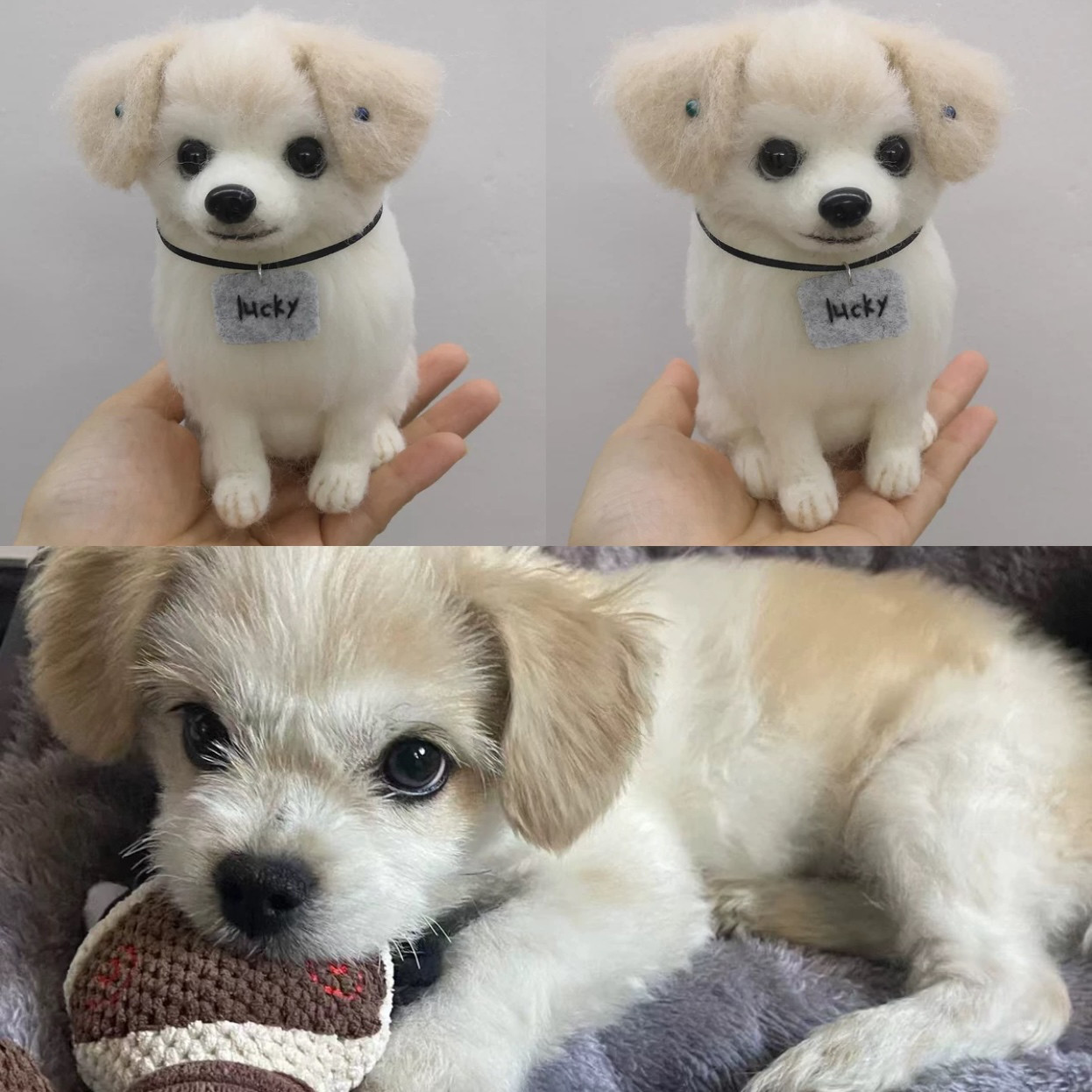めっちゃ似てる│ 写真から精巧に作る犬・猫のフェルト人形│インスタ映え間違いなしの推しワングッズ♡