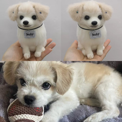 羊毛フェルト オーダー「リアルで可愛いワンちゃん(ネコちゃん)」額