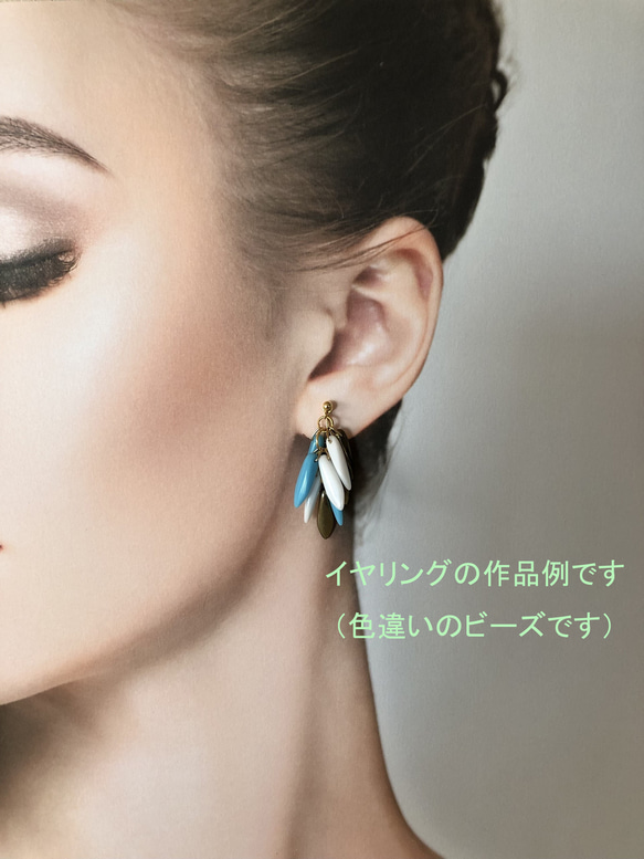 【No.184】夜のお散歩が好きな馬　サージカルステンレス使用　イヤリングにも対応　ピアス　チェコビーズ 8枚目の画像