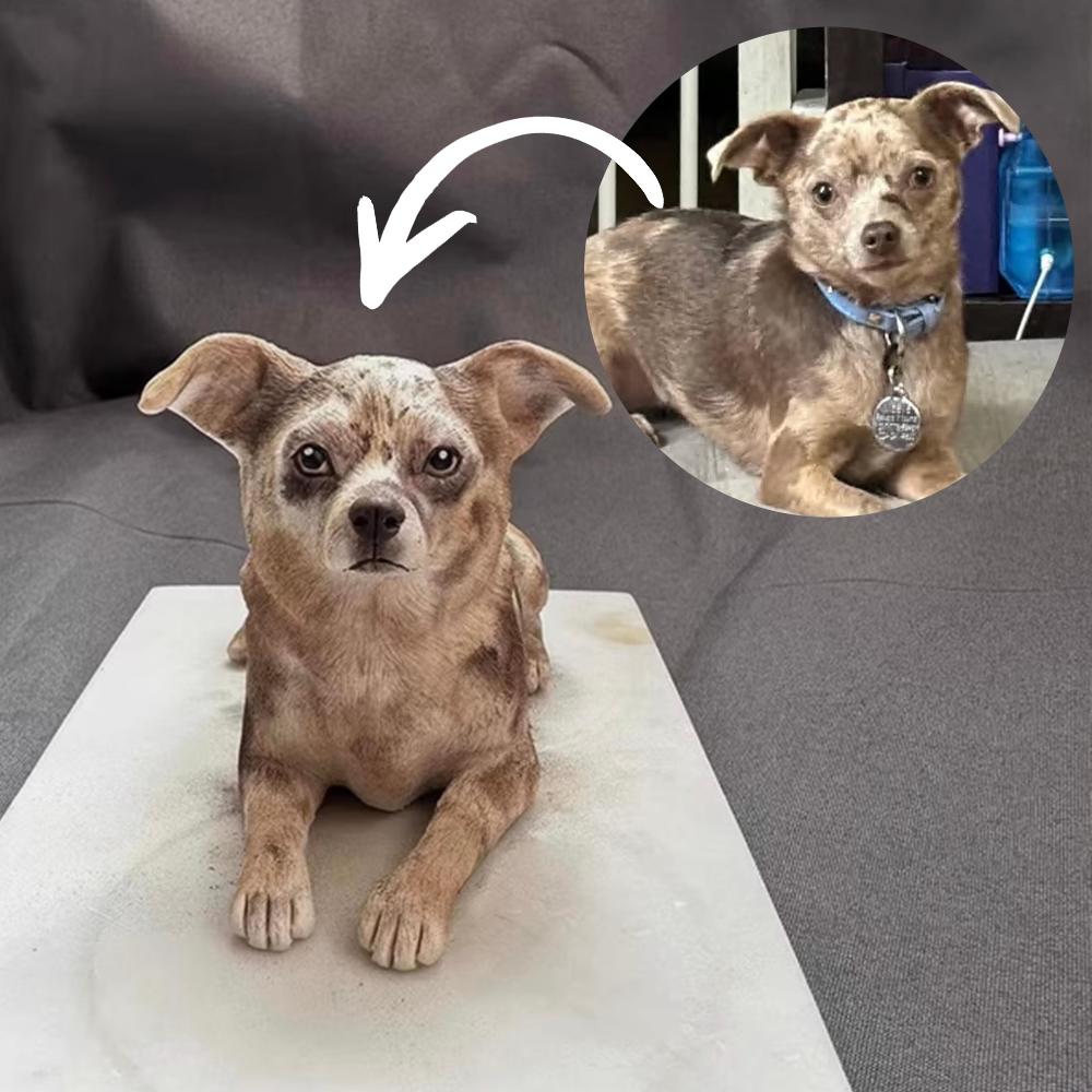 【ペットフィギュア】ペットフィギュア  写真からペットフィギュア  犬 猫 うちの子 かわいい記念品