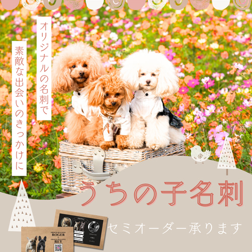 ペット名刺 うちの子名刺 セミオーダー 100枚｜クラフトデザイン（多頭