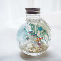 ハーバリウム 魚 のおすすめ人気通販 検索結果｜Creema(クリーマ