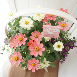 22eb9f8c46bbcca2e5b425f52a21fd