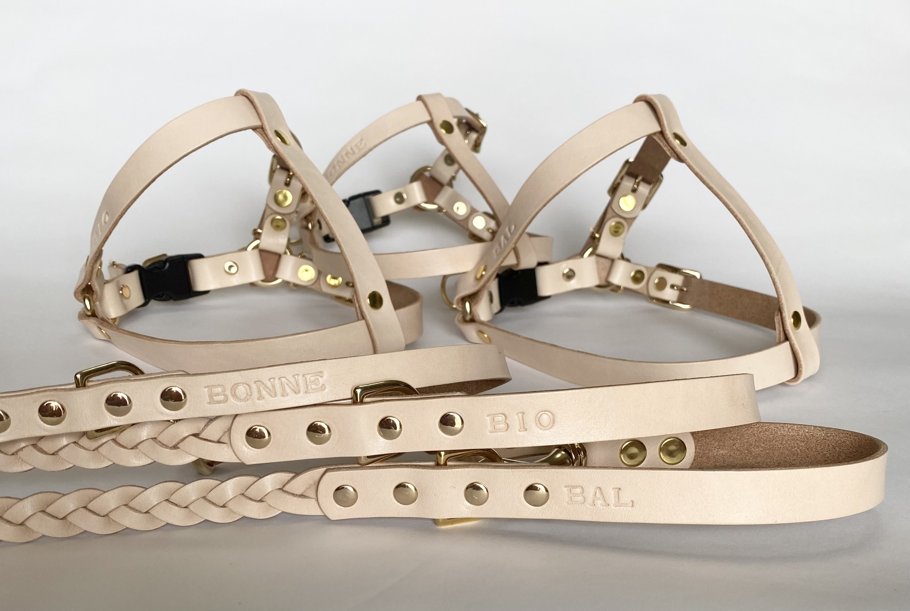 ヌメ革ハーネスと三つ編みリード（カフェタイプ）の3点セット