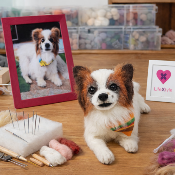 パピヨン 羊毛フェルト｜愛犬 オーダーメイド メモリアル ぬいぐるみ