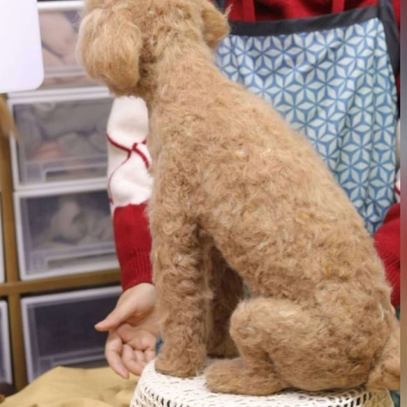 【オーダーメイドペット】羊毛フェルト、うちの子　猫ぬいぐるみ、フェルト猫、羊毛猫、肖像画、犬猫人形 プレゼントやギフトに 3枚目の画像