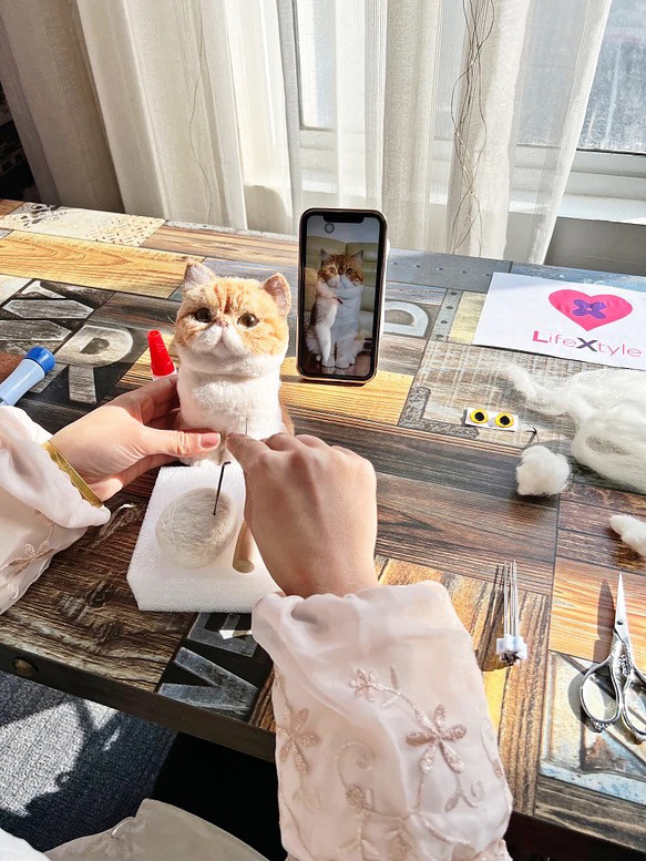 【オーダーメイドペット】羊毛フェルト、うちの子　猫ぬいぐるみ、フェルト猫、羊毛猫、肖像画、犬猫人形 プレゼントやギフトに 16枚目の画像