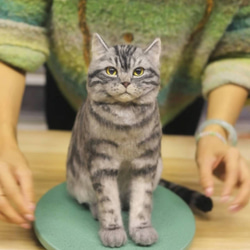 【オーダーメイドペット】羊毛フェルト、うちの子　猫ぬいぐるみ、フェルト猫、羊毛猫、肖像画、犬猫人形 プレゼントやギフトに 10枚目の画像