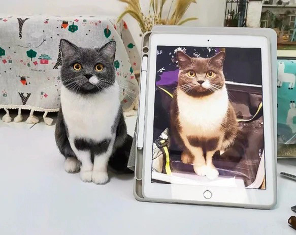 【オーダーメイドペット】羊毛フェルト、うちの子　猫ぬいぐるみ、フェルト猫、羊毛猫、肖像画、犬猫人形 プレゼントやギフトに 6枚目の画像